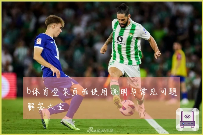 b体育登录页面使用说明与常见问题解答大全