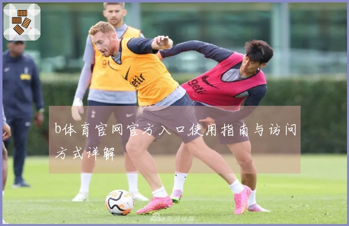 b体育官网官方入口使用指南与访问方式详解