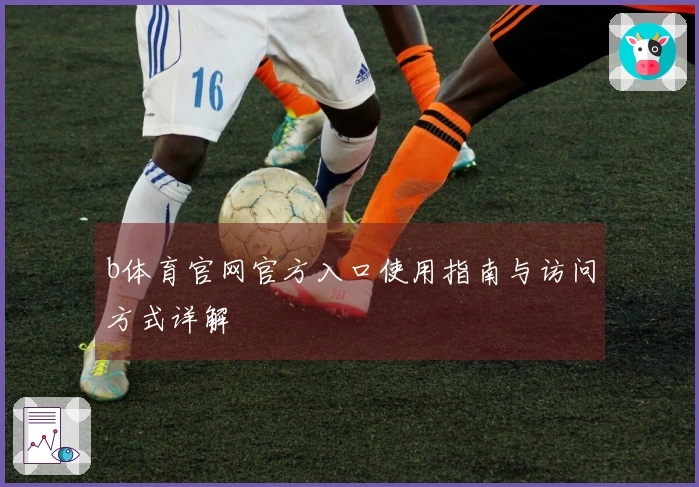 b体育官网官方入口使用指南与访问方式详解